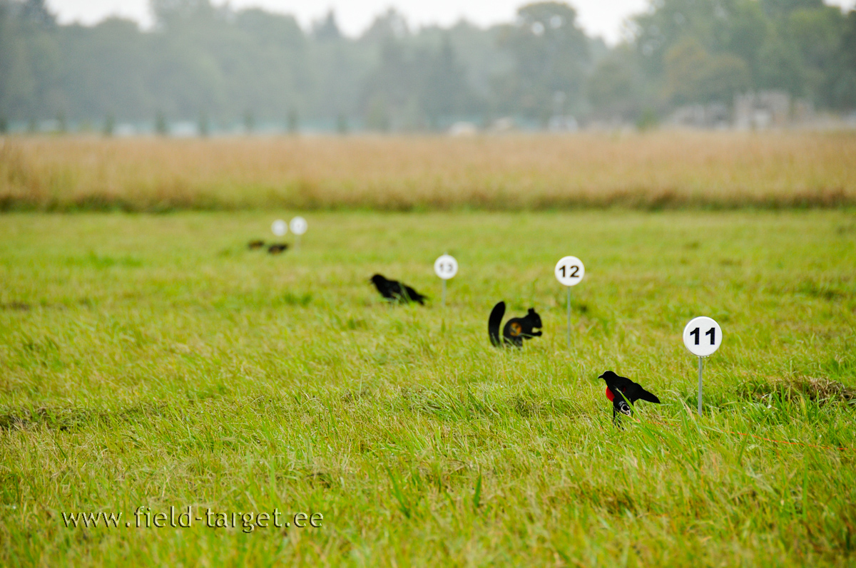 Nagu ikka 5 märki rajal